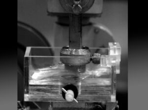 ABRASION WEAR